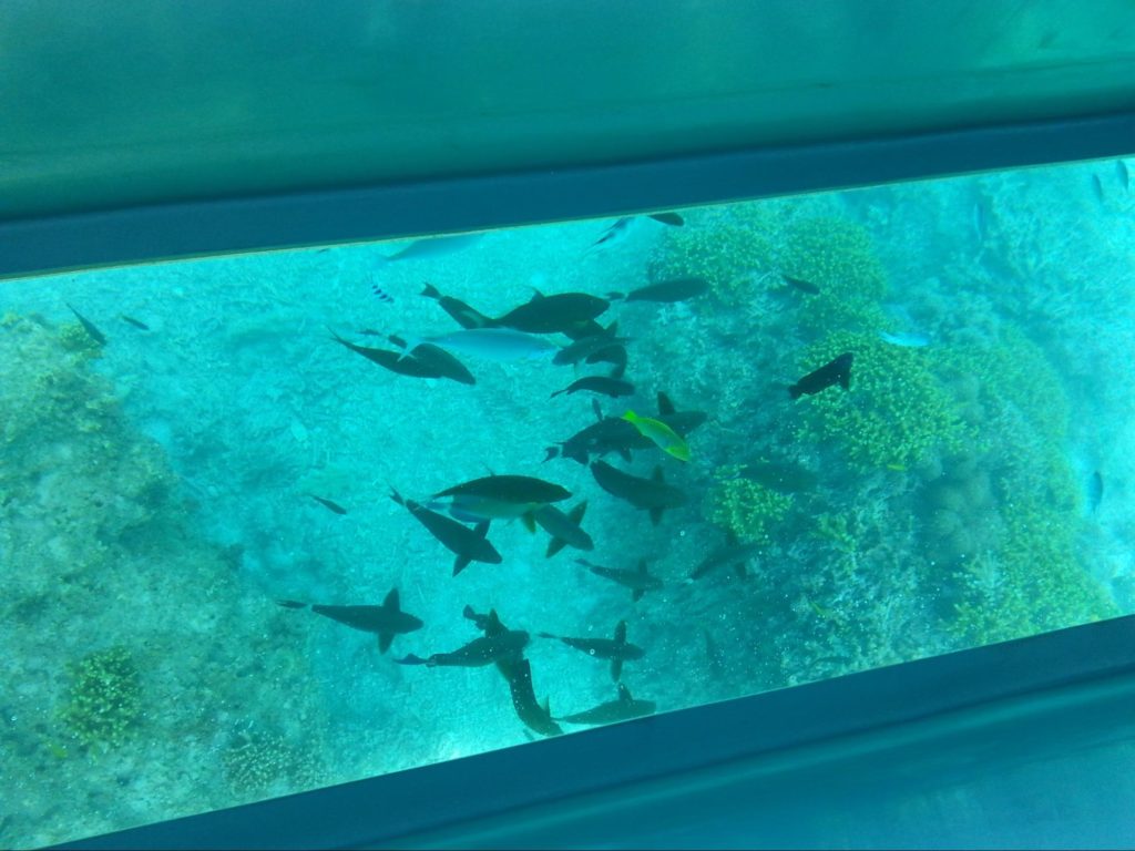 Freshly fried tempura is the best! "Okinawan Tempura" you must try at least once! 揚げたてほやほやが一番！一度は食べてほしい「沖縄天ぷら」